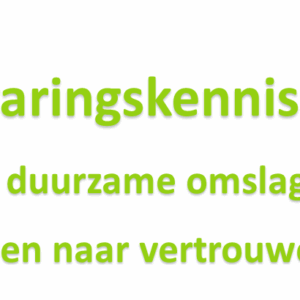 Infograhic over 6 kernwaarden en inzet ervaringsdeskundigen